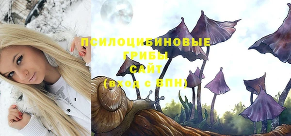 дмт Корсаков