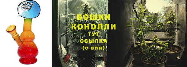 дмт Корсаков