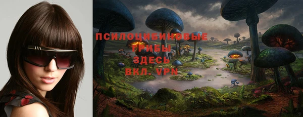 MDMA Коряжма