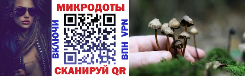 Купить закладки  Шумиха  Галлюциногенные грибы прущие грибы 